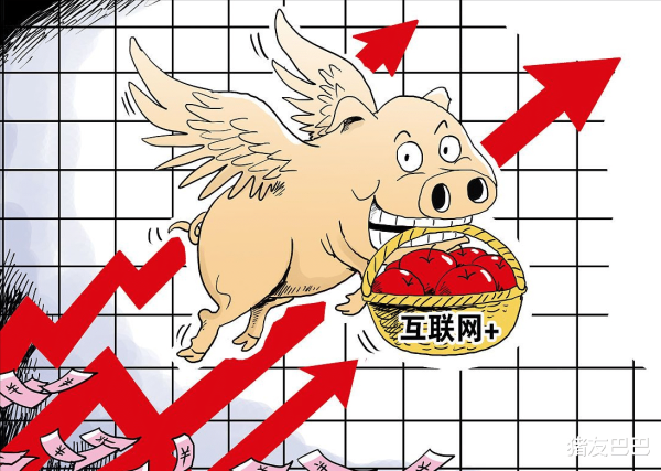 财富加 猪价“涨猛了”, 南北市场“一片红”! 发生了啥? 附: 5月3日猪价